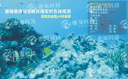 海洋觀測(cè)系統(tǒng)：水下波浪在線觀測(cè)系統(tǒng)